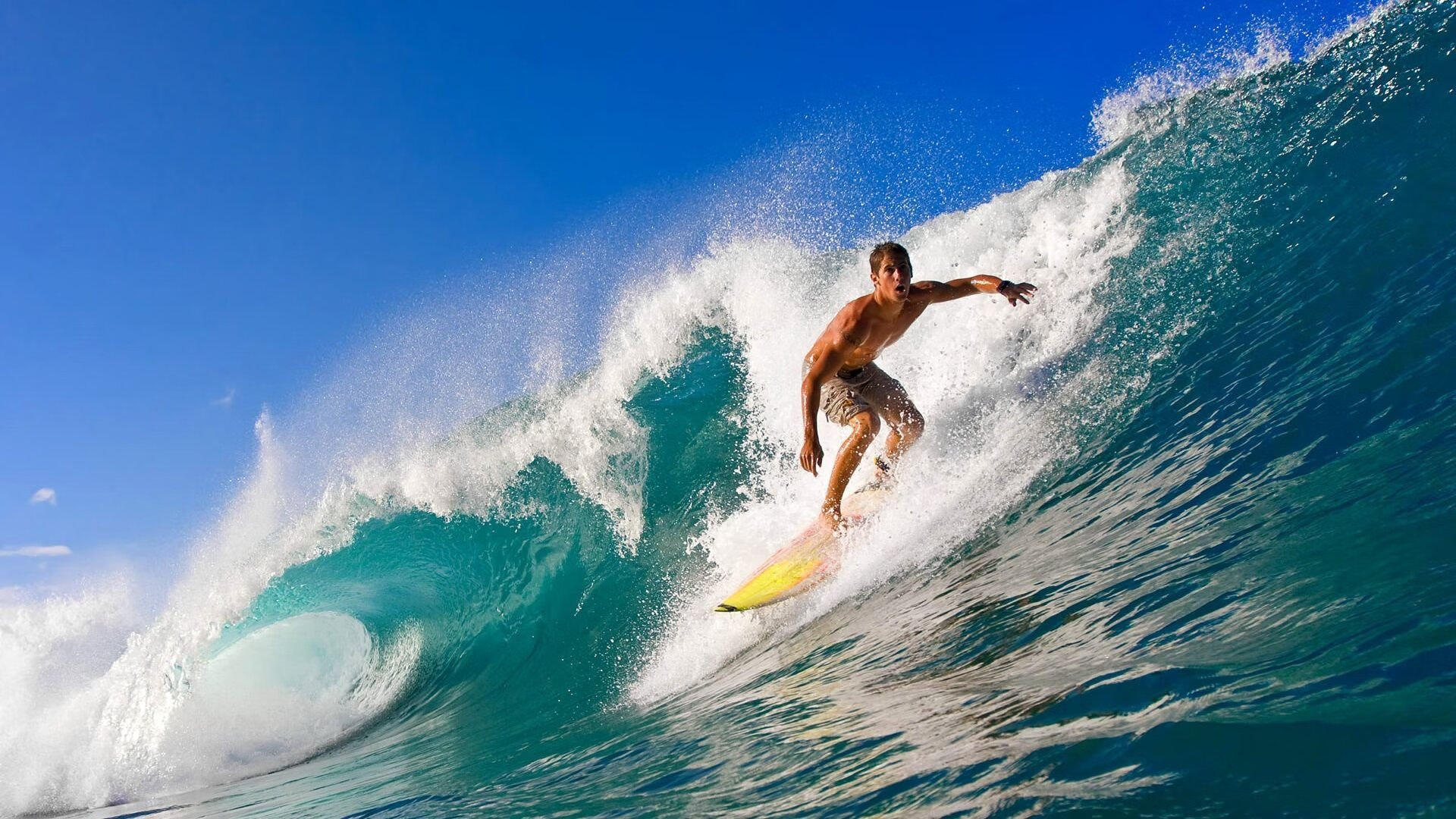 足球摄影展在国家体育馆成功举办,足球摄影记者